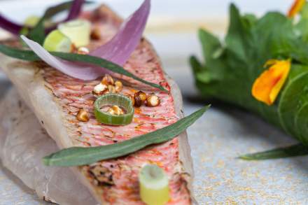 Les Nymphéas Restaurant du Domaine de Gorneton, Chasse-sur-Rhône, Plat