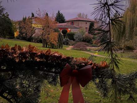 Le Domaine de Gorneton, Chasse-sur-Rhône, Piscine